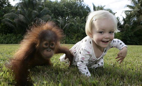 山西临汾女孩打胎 山西临汾女孩打胎