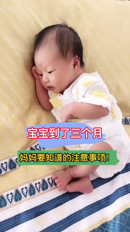 老鼠吃了打胎药会怎样 老鼠吃了打胎药会怎样