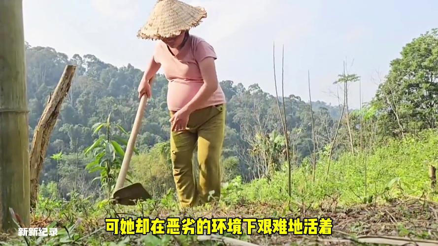 啄木鸟航班 啄木鸟航班头等舱价格