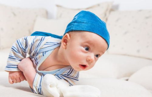 夹竹桃和沙打胎 夹竹桃多少可以堕胎 夹竹桃和沙打胎 夹竹桃多少可以堕胎