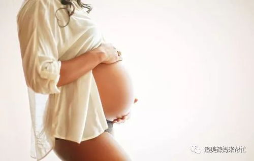 黎光李慕嘉大结局