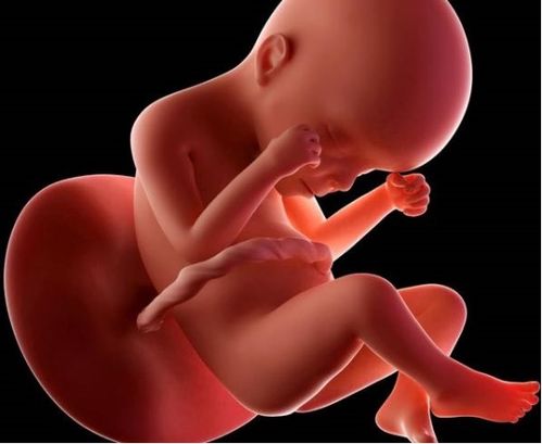 四个月打胎可以无痛吗 四个月打胎可以无痛吗