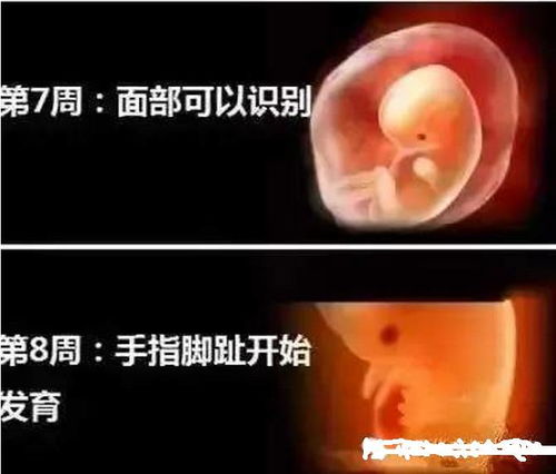 打胎可以用药打胎不_流产可以用药物打掉吗