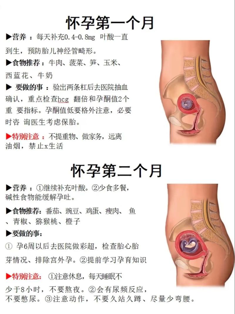 药物打胎多久可以同房