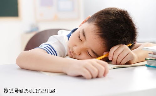 疯狂的麦咭_疯狂的麦咭第九季