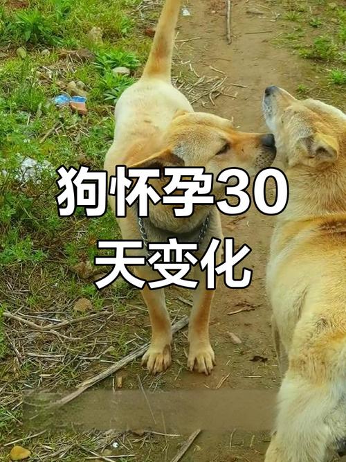 吃打胎药后能不能喝饮料 吃打胎药后能不能喝饮料