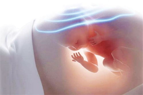 打胎几点开门 打胎最好什么时候去 打胎几点开门 打胎最好什么时候去