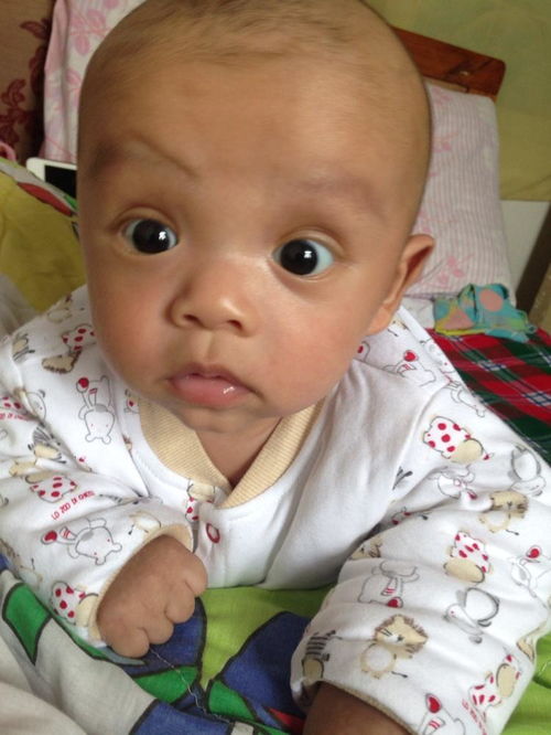 打胎纪念的句子 打胎纪念的句子怎么写 打胎纪念的句子 打胎纪念的句子怎么写