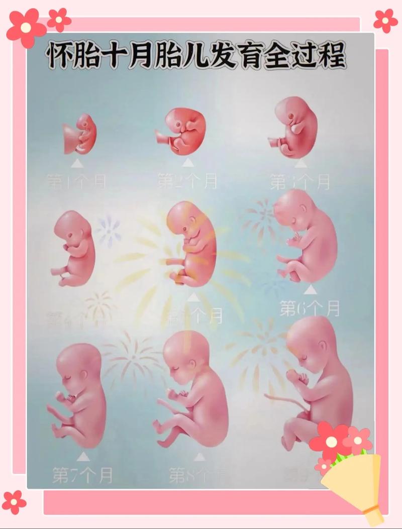 泉州打胎最佳时机 泉州打胎最佳时机在哪里 泉州打胎最佳时机 泉州打胎最佳时机在哪里