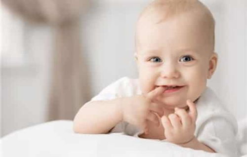 白芸豆减肥产品靠谱吗