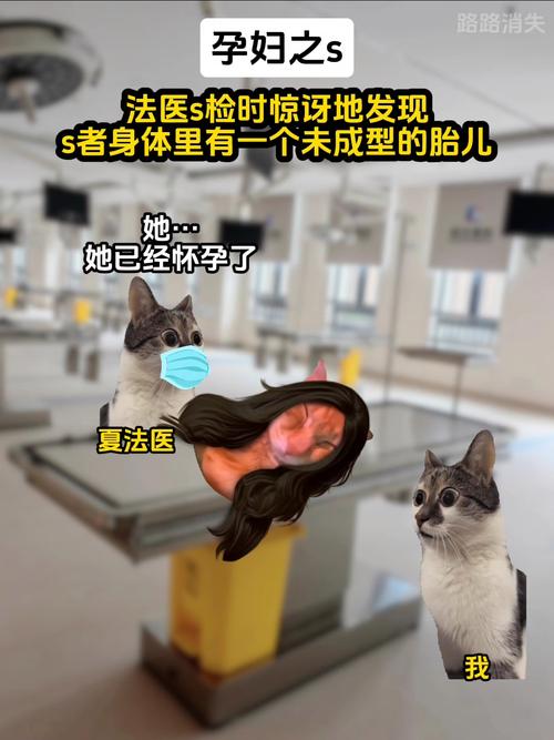 重庆孕妇教师打胎