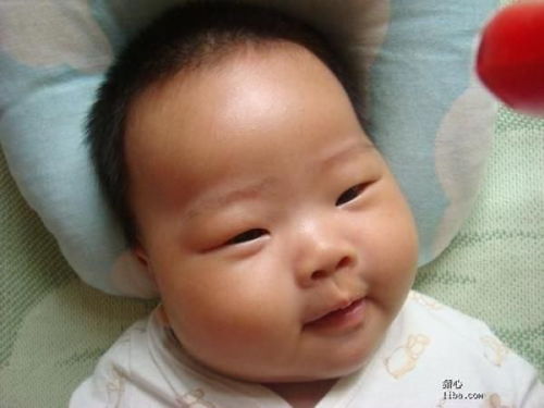 炎龙骑士团2攻略