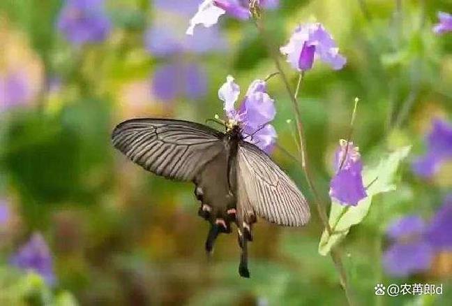 打胎药对身体有什么不好 打胎药对身体有什么不好