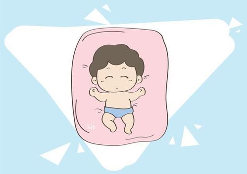 北上广不相信眼泪陶慧