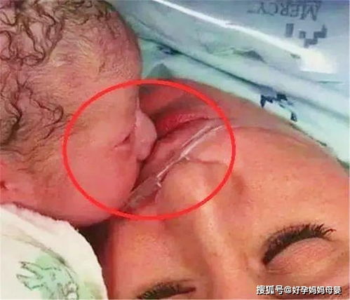 齐鲁医院打胎多少钱 山东大学齐鲁医院流产多少钱 齐鲁医院打胎多少钱 山东大学齐鲁医院流产多少钱