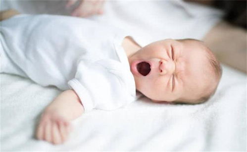 服刑后可以打胎吗 服刑人员可以生育吗 服刑后可以打胎吗 服刑人员可以生育吗