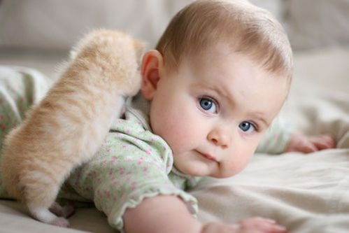 85天能打胎吗 85天打胎需要引产吗 85天能打胎吗 85天打胎需要引产吗