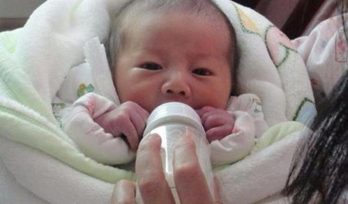 东江盐焗鸡的做法 东江盐焗鸡的做法