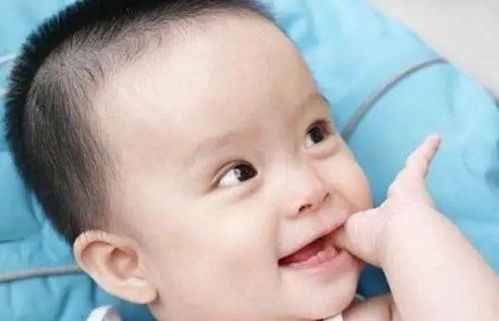 北京爱情故事主演是谁 北京爱情故事主演是谁