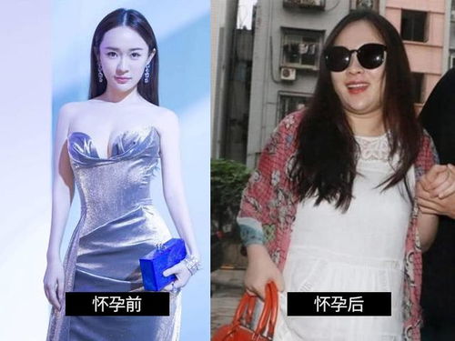 金晨主演的电视剧大全 金晨主演的电视剧大全