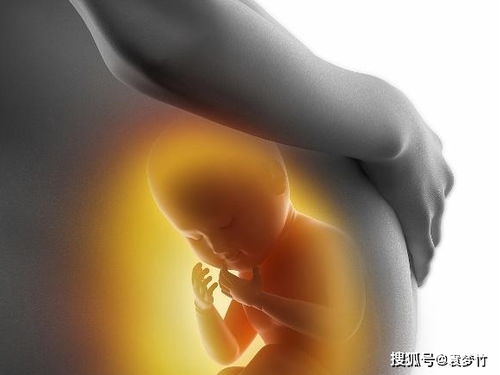 女性未经男友同意打胎 女性未经男友同意打胎