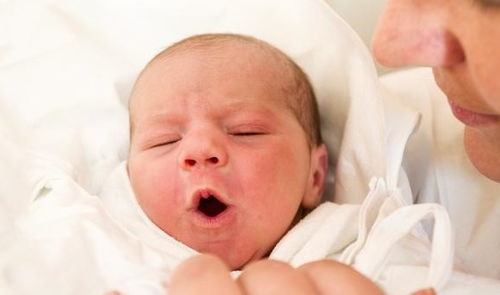 打胎做手术价格_打胎手术多少钱大概 打胎做手术价格_打胎手术多少钱大概