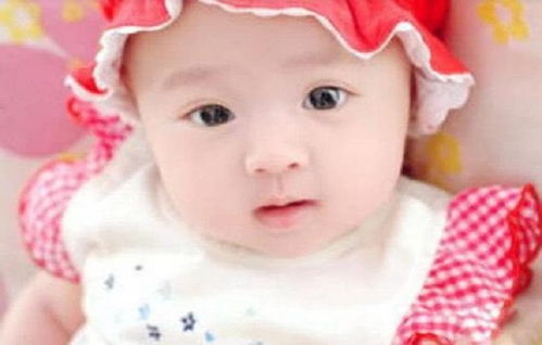 李安琪身高 李安琪个人信息