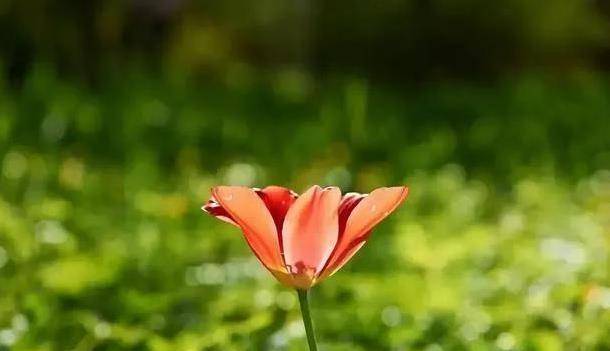 哈尔滨打胎费用要多少 哈尔滨打胎费用要多少