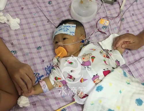 隐晦打胎的歌曲 隐晦打胎的歌曲有哪些