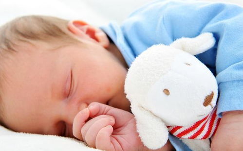 今日说法最惨案 今日说法最惨案