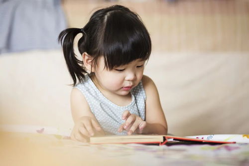 2012世界末日国语