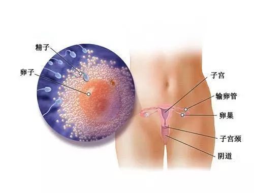 系统配置在线检测 系统配置在线检测