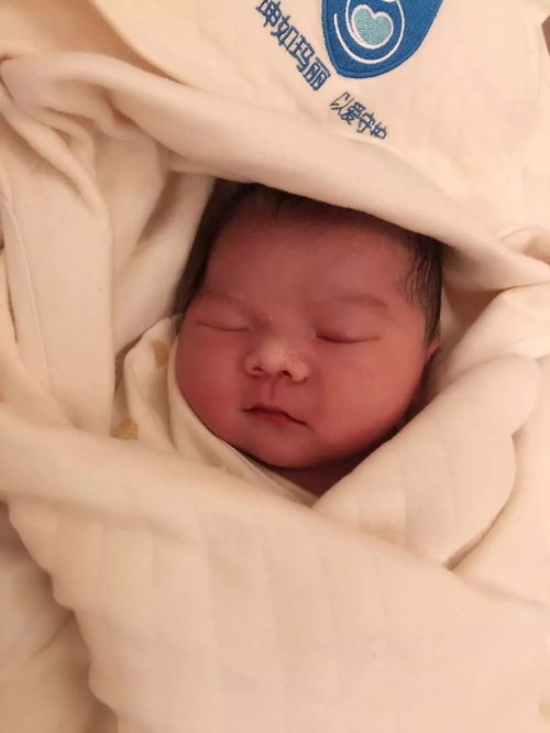 缅甸医院打胎费用谁出