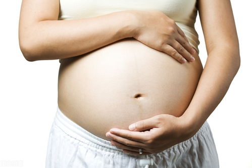 何穗多少岁 何穗年龄到底多大 何穗多少岁 何穗年龄到底多大