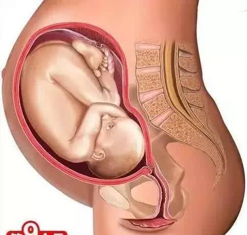 低烧能吃打胎药吗小孩