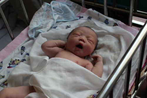 打胎手术哪个医院更好