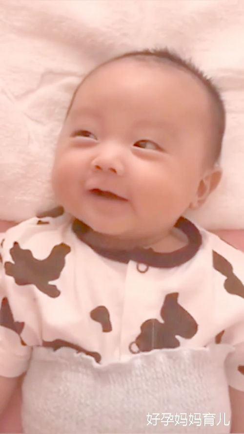 航海王中文版国语配音 航海王中文版国语配音