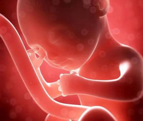 颈椎病会影响食欲吗？