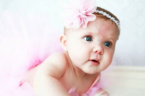 h姓女星离婚 h姓女明星名字