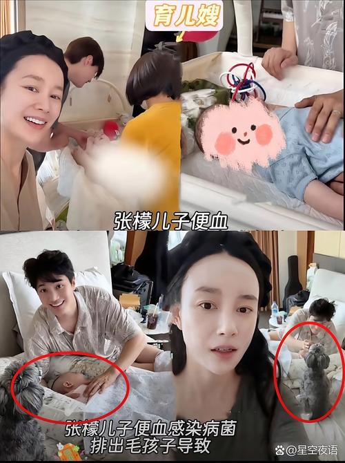 打胎月经几天干静打胎后月经多久恢复正常 打胎月经几天干静打胎后月经多久恢复正常