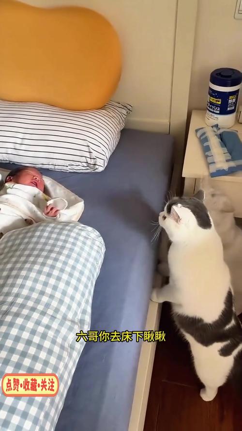 宿迁打胎同仁深受好评 宿迁打胎同仁深受好评