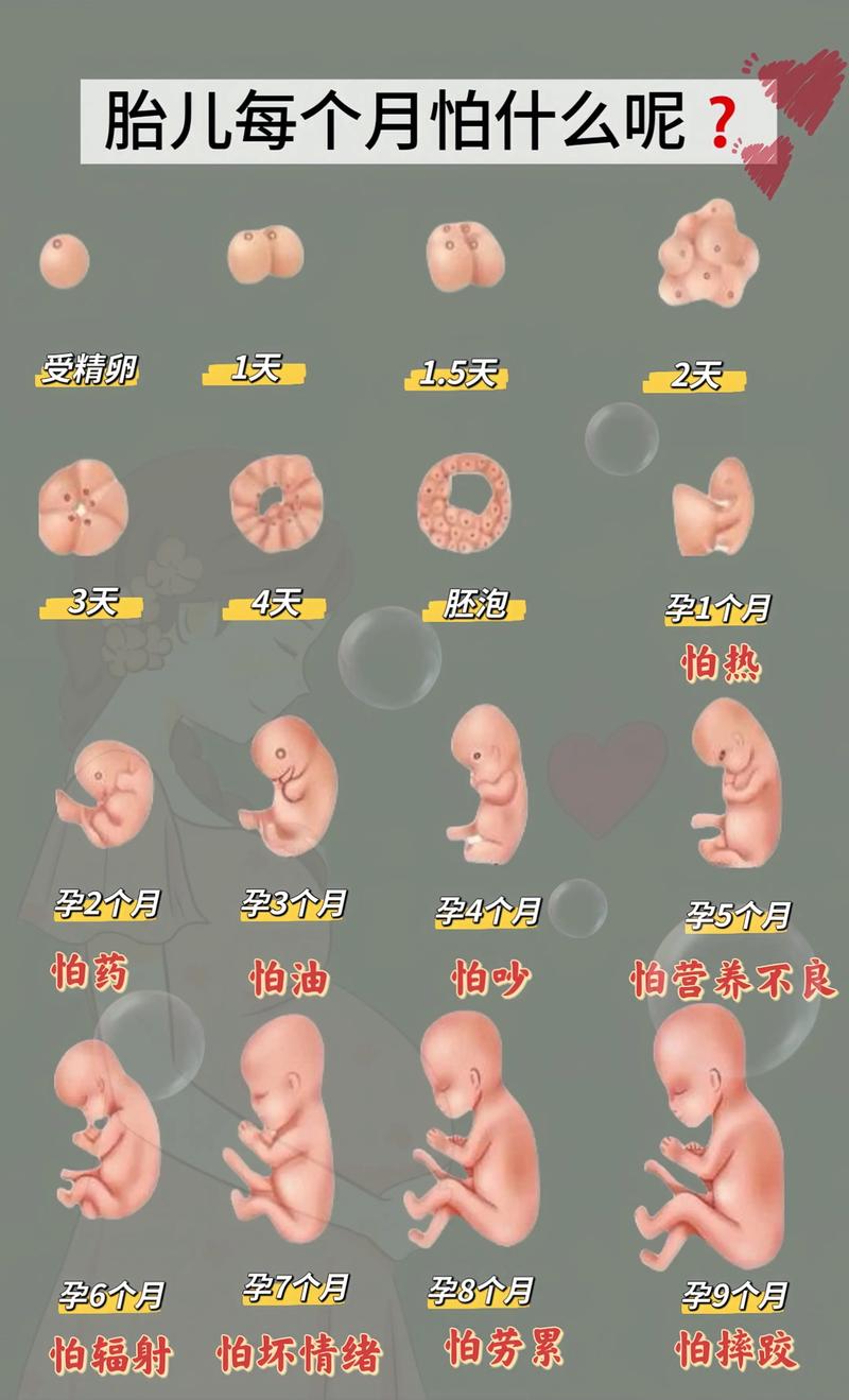 打胎没成功生子 打胎不成功