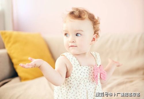 打胎几天后可吃当归枸杞 打胎几天后可吃当归枸杞