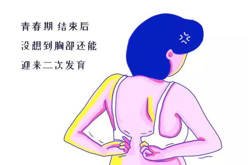 爱的阶梯路风乐美打胎 爱的阶梯路风乐美打胎