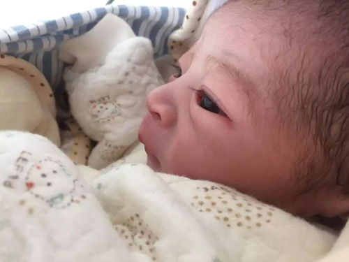 后巷医院打胎多少费用 后巷医院打胎多少费用