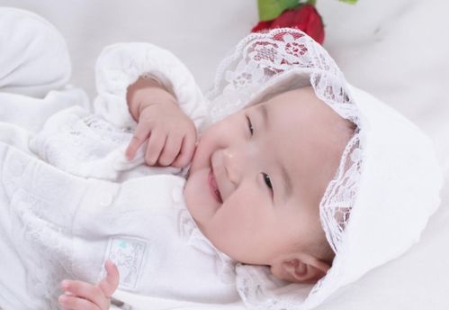 刘晓晔是谁_刘晓晔 男 刘晓晔是谁_刘晓晔 男