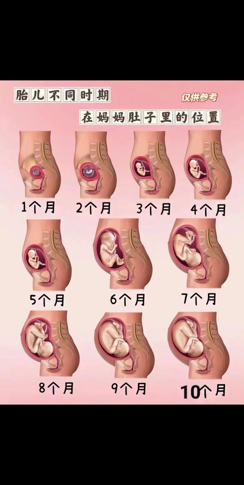 河北保定打胎诊所地址