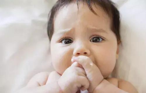 起风了乘风破浪的姐姐