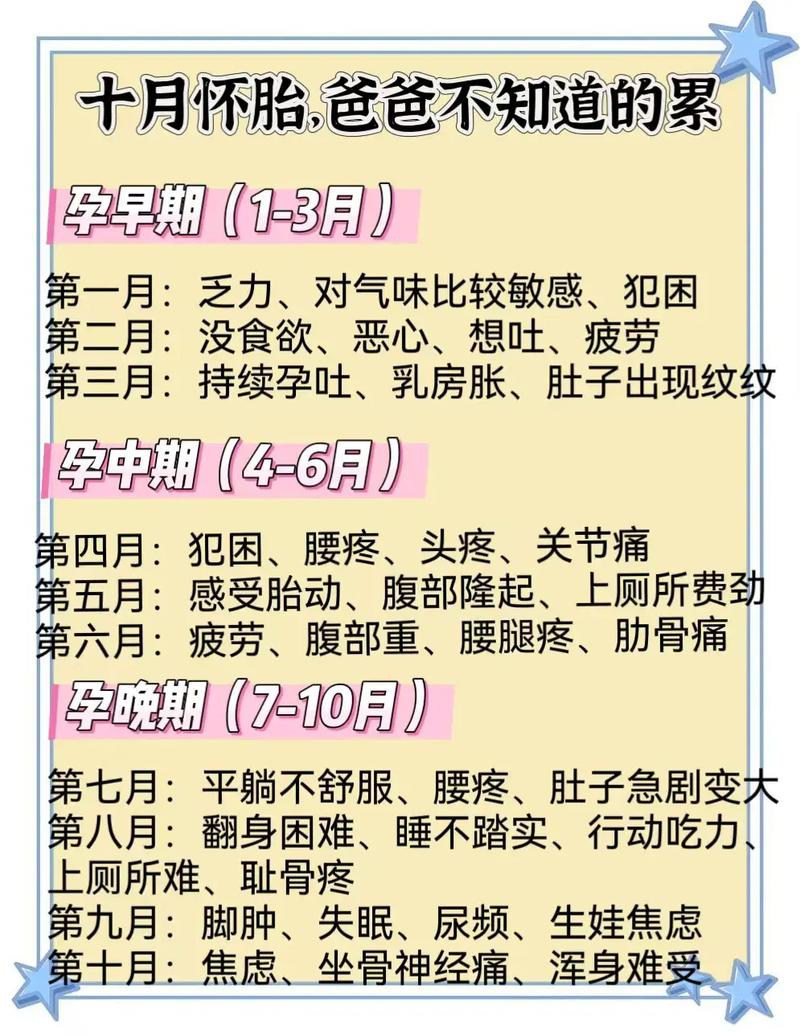 宫锁心玉演员表电视猫 宫锁心玉演员表电视猫