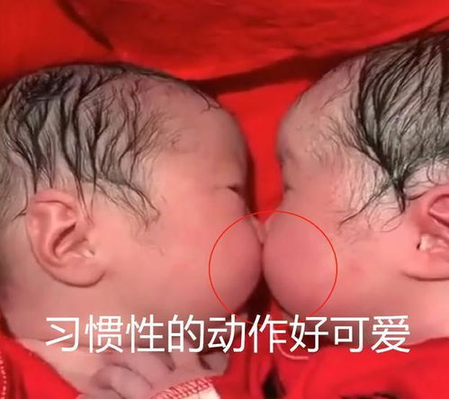 离异怎么开打胎证 离婚了打胎需要证明吗